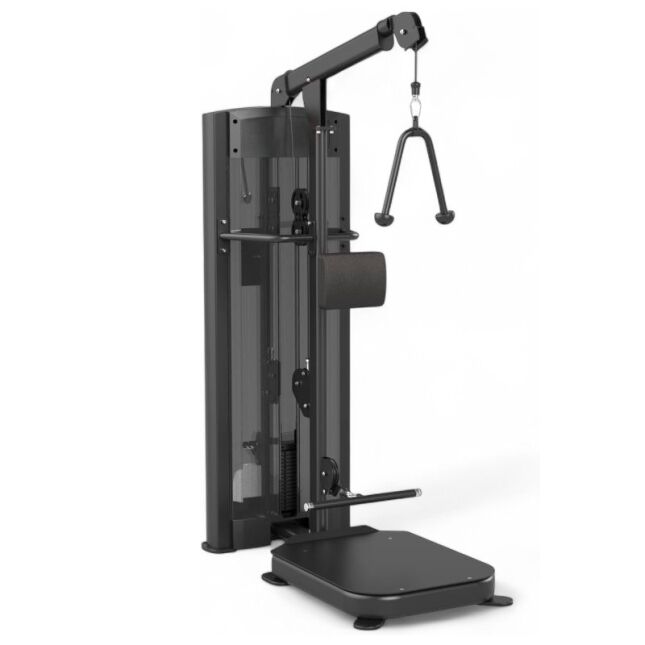 LINEA ULTRA - DUAL EXTENSIÓN DE TRÍCEPS PARADO / FLEXIÓN DE BÍCEPS PARADO