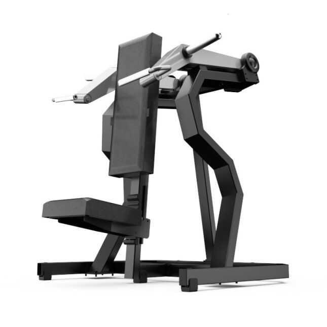 LINEA PRO - PRESS DE HOMBRO CON DISCOS